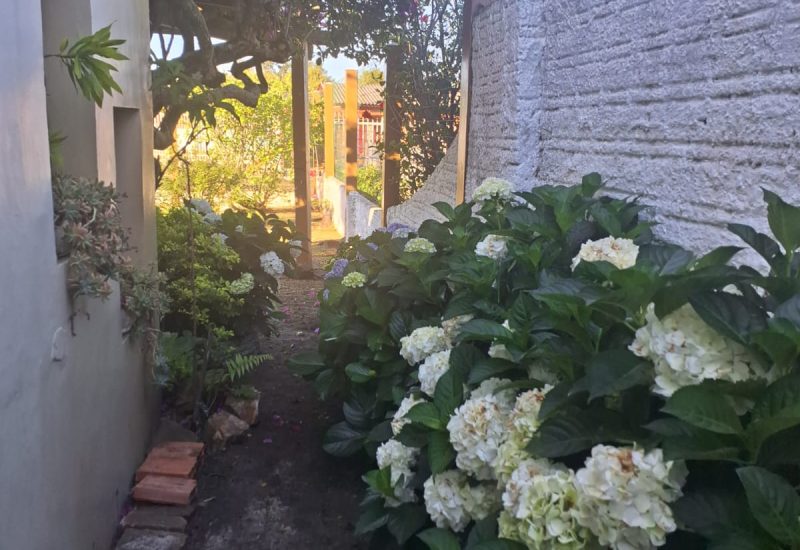 Imagem do WhatsApp de 2025-12-14 à(s) 09.46.51_ec54f325