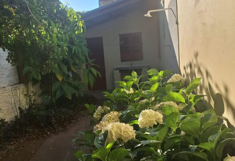 Imagem do WhatsApp de 2025-12-14 à(s) 09.46.52_7bd990bc