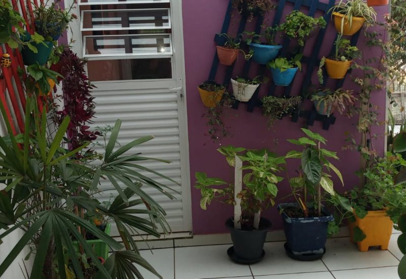 WhatsApp Image 2024-05-25 at 17.12.23