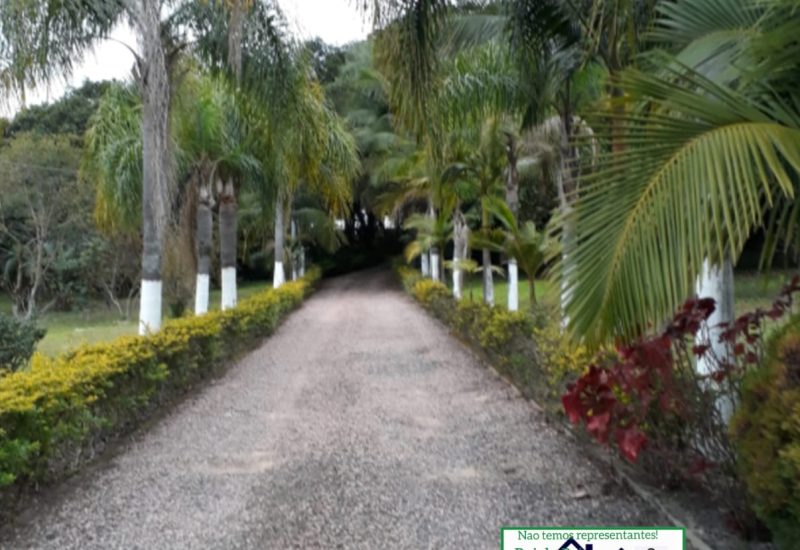 WhatsApp Image 2025-02-15 at 15.43.58 (2)