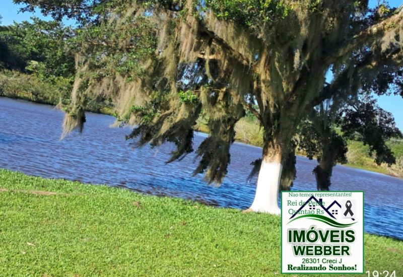 WhatsApp Image 2025-02-15 at 15.43.59