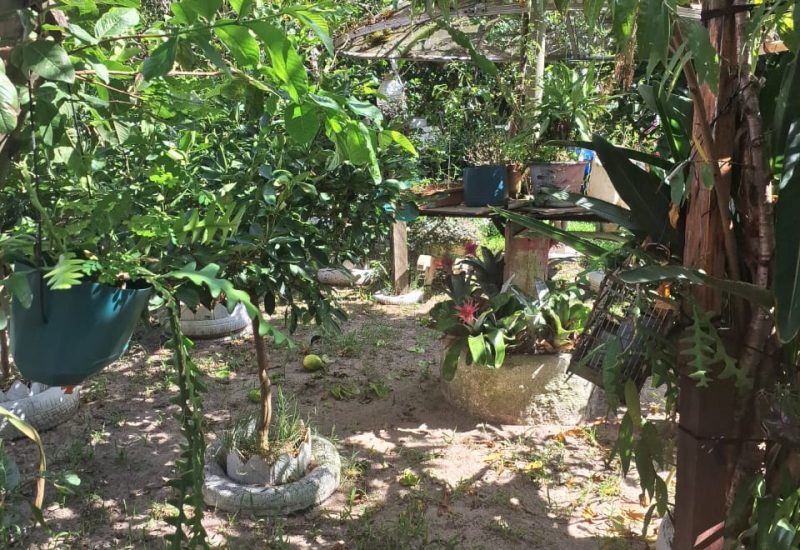 WhatsApp Image 2025-02-22 at 16.24.38 (4)