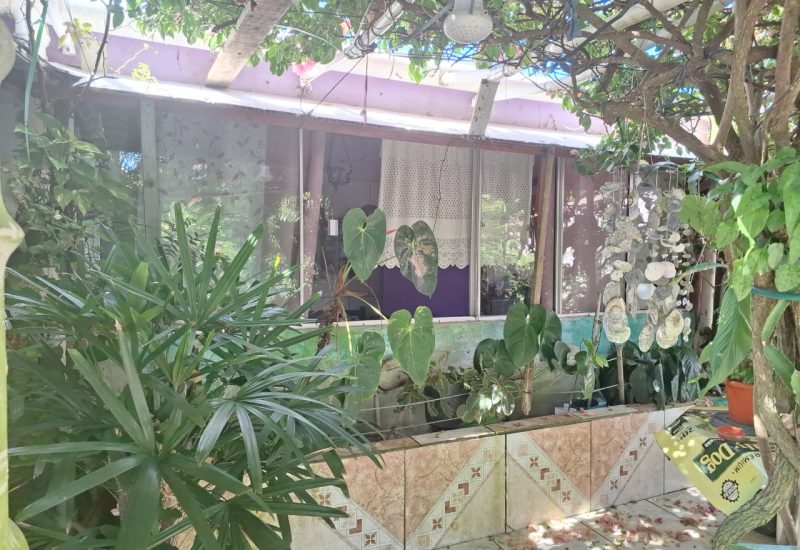 WhatsApp Image 2025-02-22 at 16.24.38 (8)