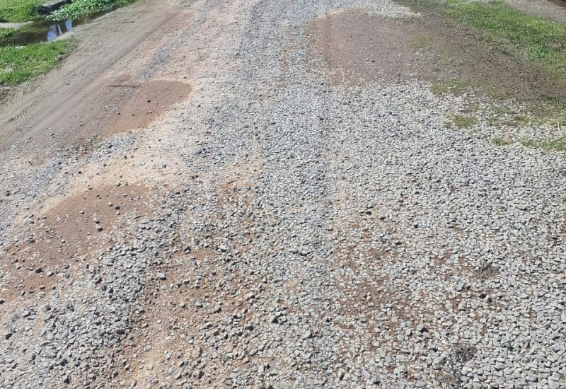 WhatsApp Image 2025-02-23 at 17.44.08