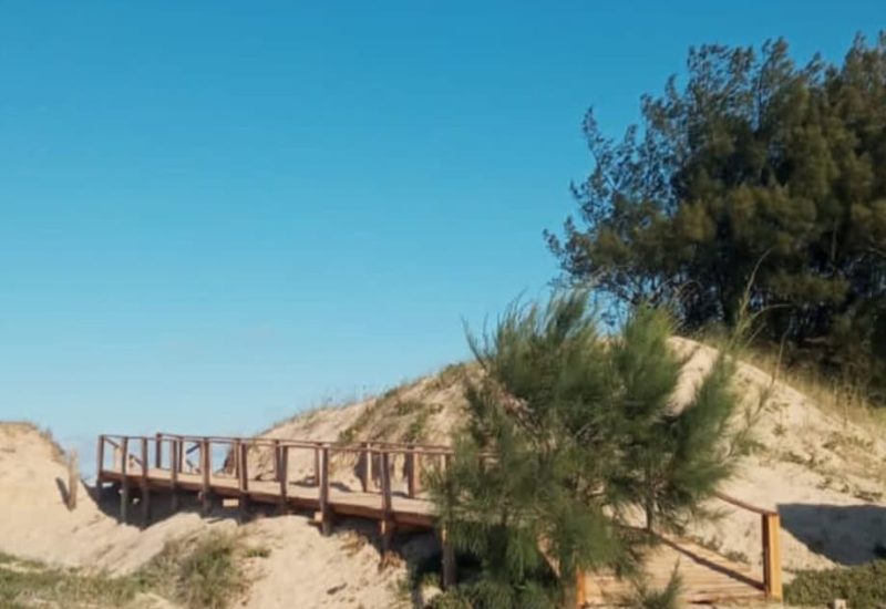 WhatsApp Image 2025-10-02 at 10.04.06