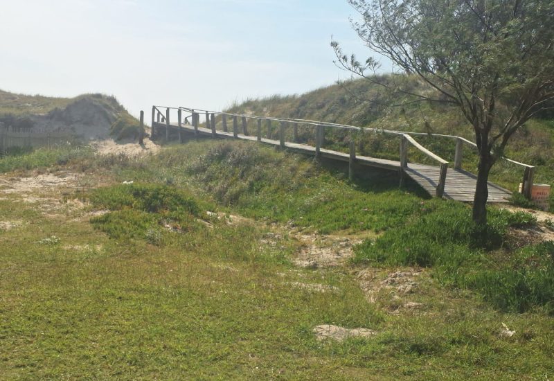 WhatsApp Image 2025-11-21 at 09.45.07 (1)