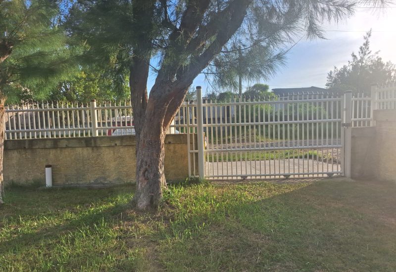 WhatsApp Image 2026-01-17 at 11.11.34 (1)