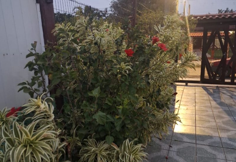 WhatsApp Image 2026-01-18 at 11.39.25