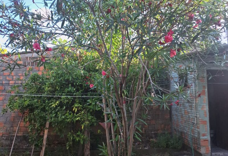 WhatsApp Image 2026-01-22 at 09.34.32 (1)