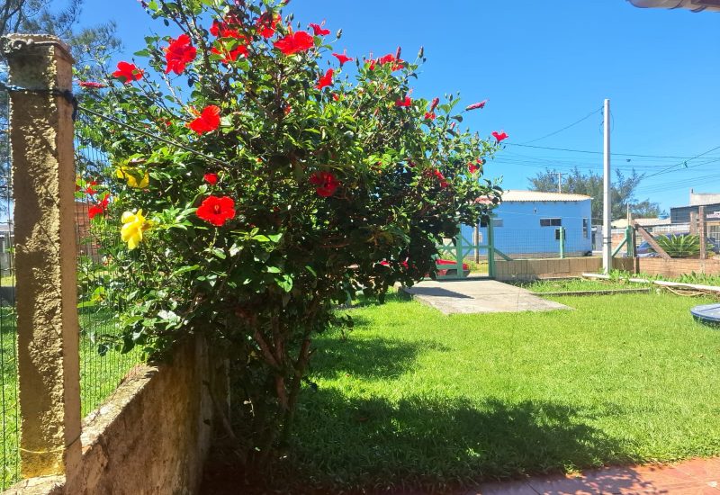 WhatsApp Image 2026-01-24 at 17.54.33 (2)