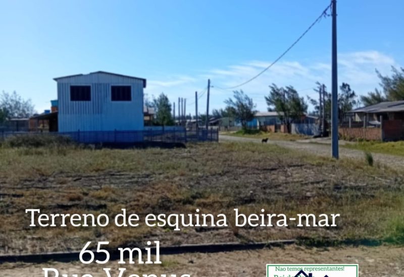 WhatsApp Image 2026-01-30 at 09.27.02