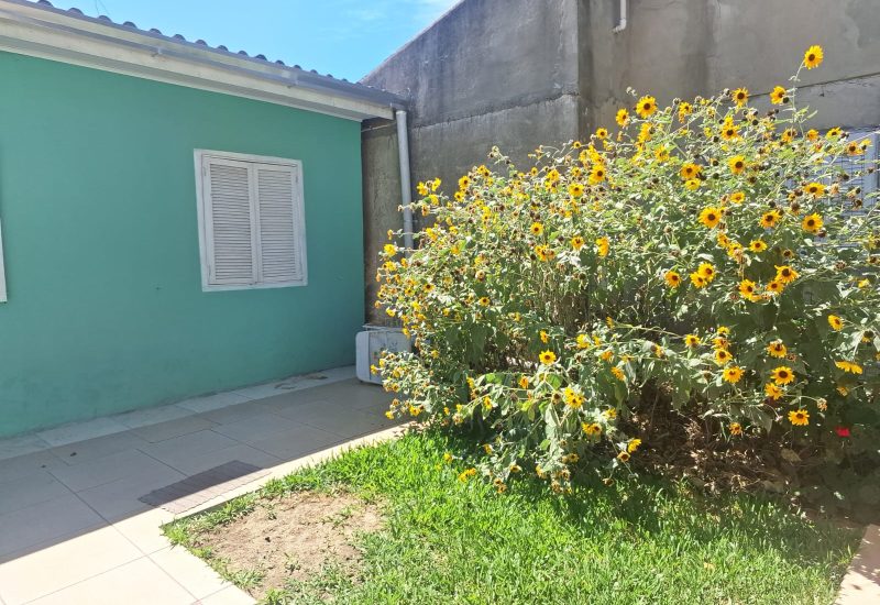 WhatsApp Image 2026-03-06 at 15.24.34