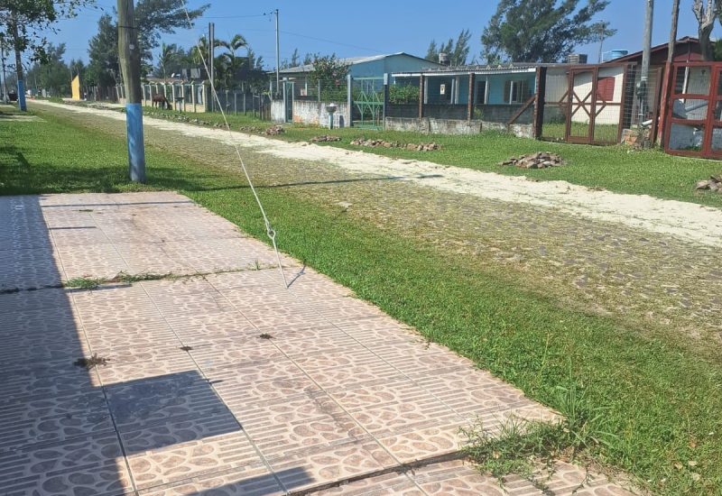 WhatsApp Image 2026-03-28 at 15.01.36 (1)