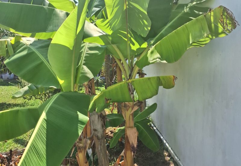 WhatsApp Image 2026-03-28 at 15.01.36